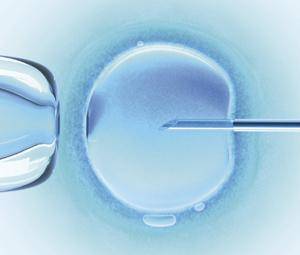La infertilidad y sus tratamientos